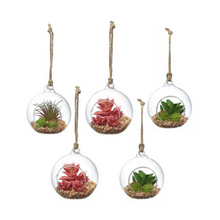 Load image into Gallery viewer, 🌵 Set of 5 Mini Glass Cactus Ornaments – Mexican Terrarium Globe Style (8cm)