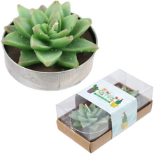 Load image into Gallery viewer, Set of 6 Boxes Cactus Plant Candles (12 Total) – Decorative Tealight Wax