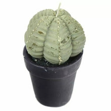 Load image into Gallery viewer, Set of 2 Cactus in a Pot Candles – Mexican Succulent Wax Decor – Novelty Gift – 12.5cm
