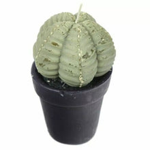 Load image into Gallery viewer, Set of 2 Cactus in a Pot Candles – Mexican Succulent Wax Decor – Novelty Gift – 12.5cm