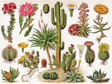 Load image into Gallery viewer, Vintage Cactus Puzzle – 1000 Piece Jigsaw | Succulent Dictionary Art | Made in USA