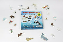 Load image into Gallery viewer, FridgeScapes Book: Polar Fridge Magnets – Hardback by Caroline Selmes