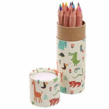 Load image into Gallery viewer, Set of 6 Africa Animals Colouring Pencils in Tube | Wildlife Kids Gift