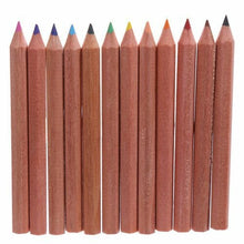 Load image into Gallery viewer, Set of 6 Africa Animals Colouring Pencils in Tube | Wildlife Kids Gift