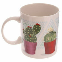 Load image into Gallery viewer, Set of 4 Cactus Pots Design Mugs – New Bone China Ceramic