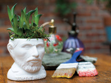 Load image into Gallery viewer, Vincent Van Gogh Planter – Ceramic Pot by The Unemployed Philosophers Guild | Artist Home Décor