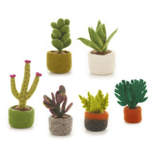 Load image into Gallery viewer, Set of 6 Felt Miniature Plants – Fair Trade Handmade Eco Friendly Home Decor