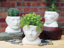 Load image into Gallery viewer, Jane Austen Planter Pot – Fertile Minds Ceramic by UPG, Literary Gift