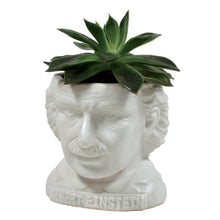 Load image into Gallery viewer, Albert Einstein Head Planter Ceramic