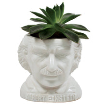Load image into Gallery viewer, Albert Einstein Head Ceramic Planter Front Picture