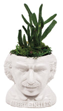 Load image into Gallery viewer, Albert Einstein Ceramic Planter White Colour