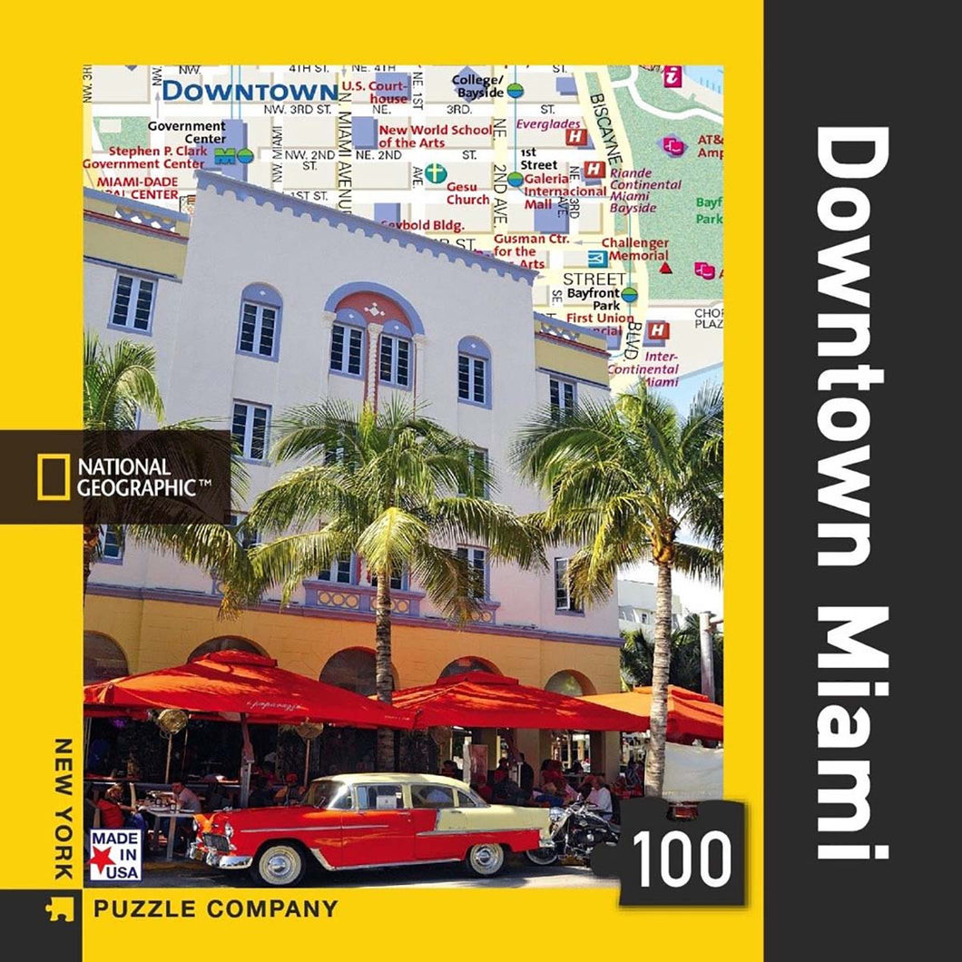 Downtown Miami Jigsaw Puzzle 100 Pieces - New York Puzzle Company