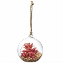 Load image into Gallery viewer, Set of 5 Mini Bubble Glass Terrariums
