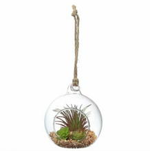 Load image into Gallery viewer, Set of 5 Mini Bubble Glass Terrariums
