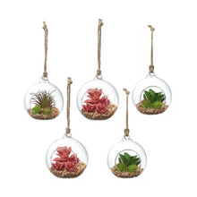 Load image into Gallery viewer, 🌵 Set of 5 Mini Glass Cactus Ornaments – Mexican Terrarium Globe Style (8cm)
