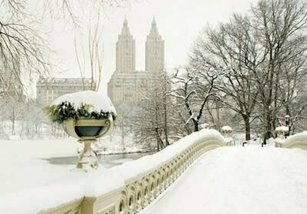 View from the Bow Bridge – Boxed Holiday Notecards by Galison (Set of 20)