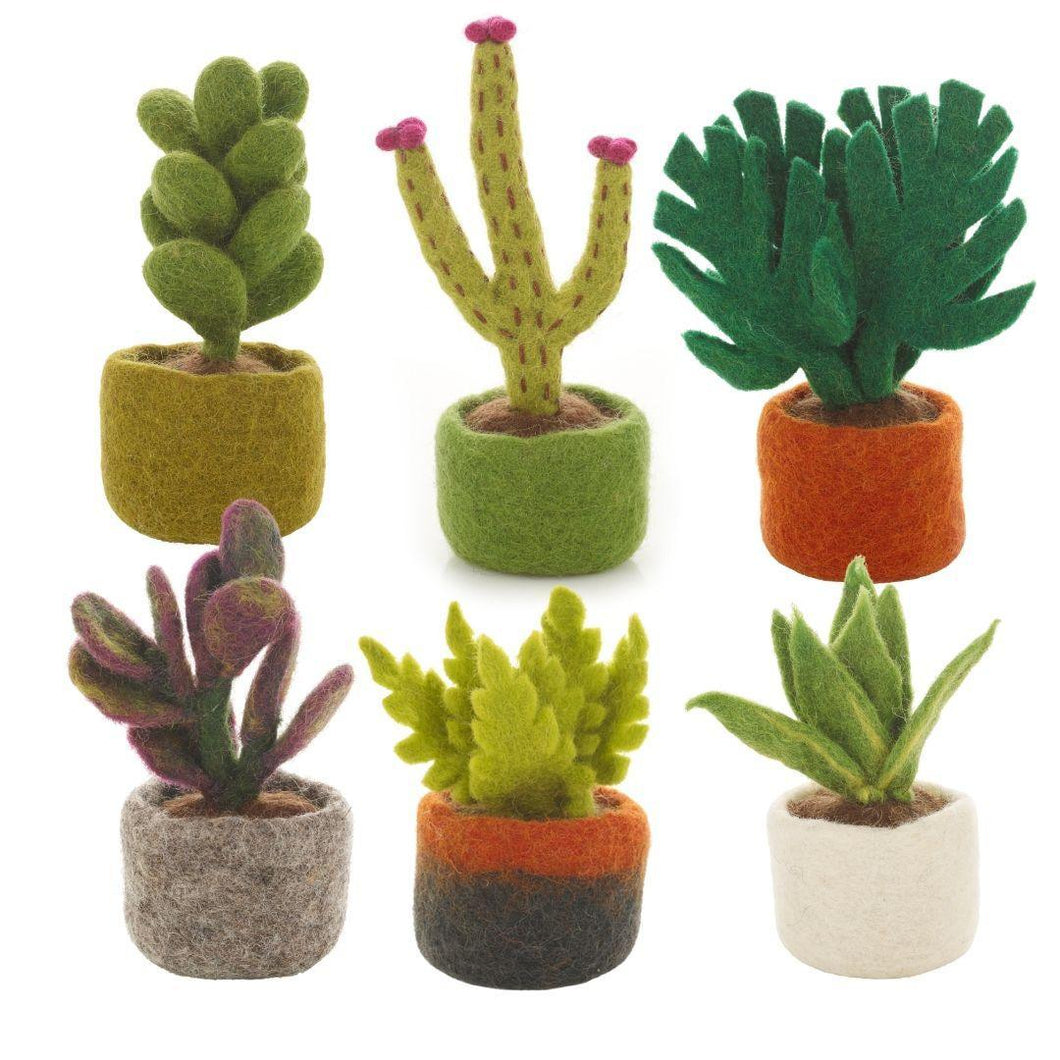 Set of 6 Felt Miniature Plants – Fair Trade Handmade Eco Friendly Home Decor