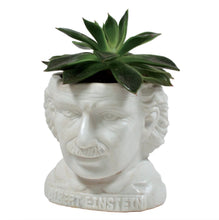Load image into Gallery viewer, Albert Einstein Gift Set
