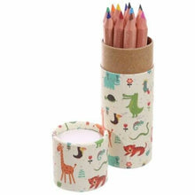 Load image into Gallery viewer, Set of 6 Africa Animals Colouring Pencils in Tube | Wildlife Kids Gift
