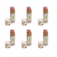 Load image into Gallery viewer, Set Of 6 Africa Animals Pencil Tubes with Colouring Pencils

