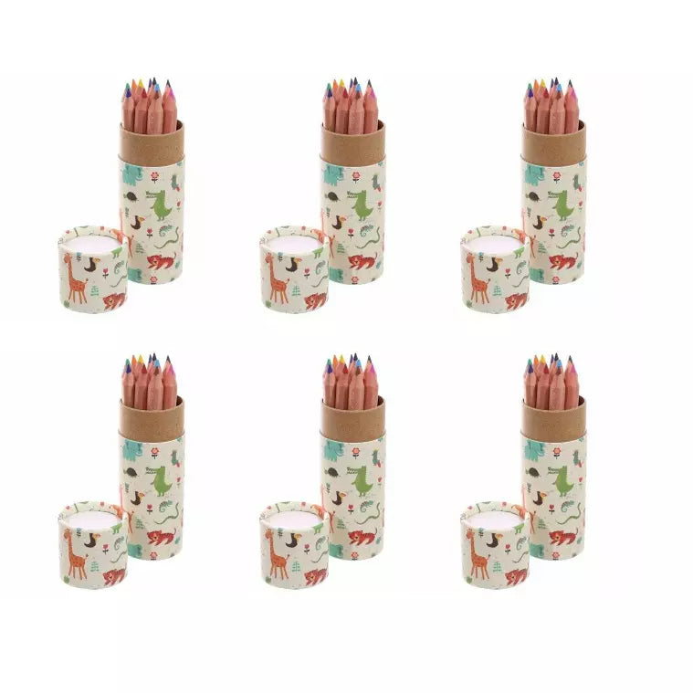 Set Of 6 Africa Animals Pencil Tubes with Colouring Pencils