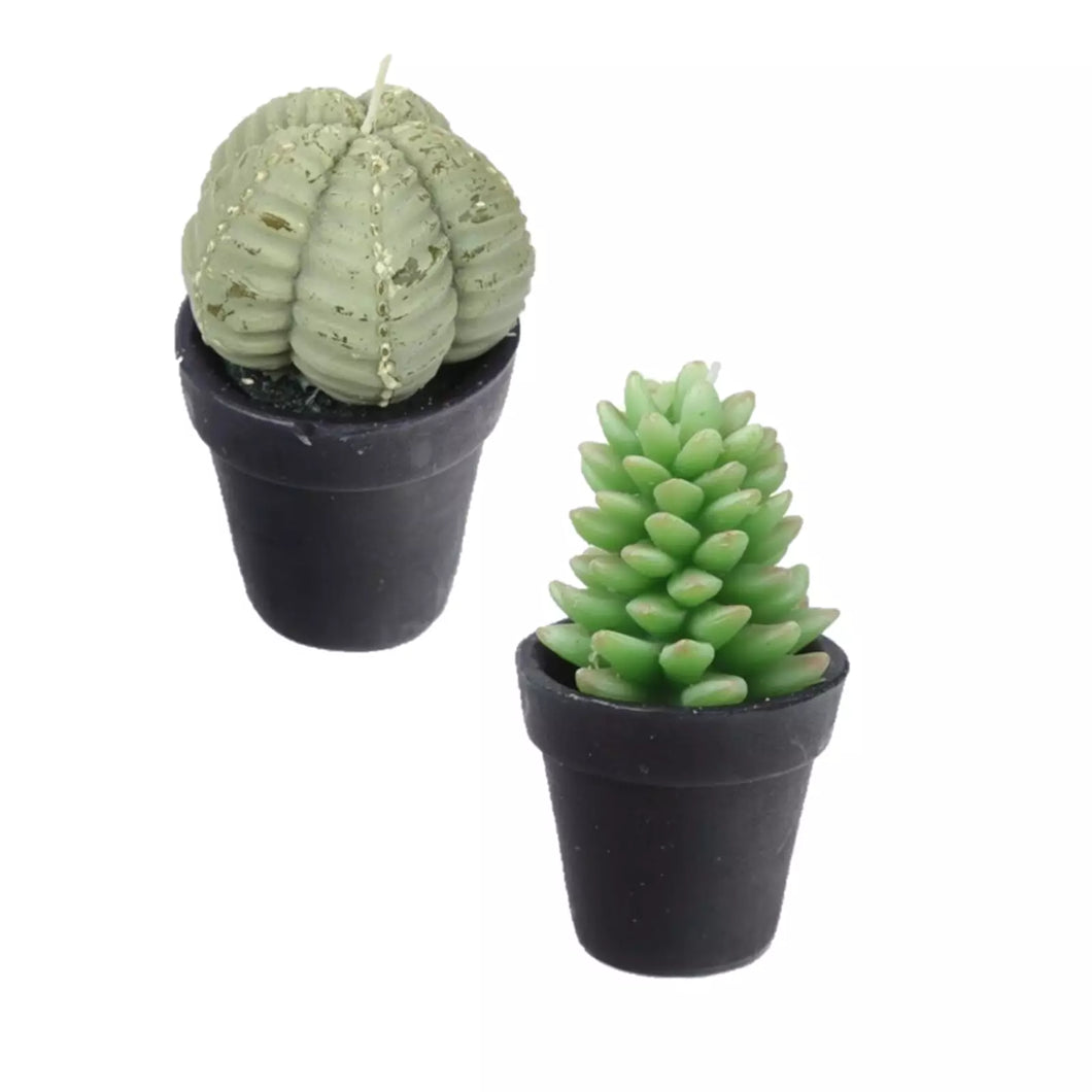 Set of 2 Cactus in a Pot Candles
