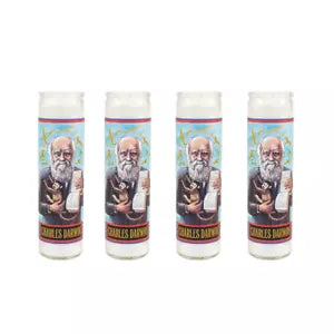 Set of 4 Darwin Secular Saint Candles Glass  - The Unemployed Philosophers Guild -