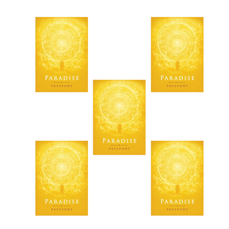 Set of 5 Paradise Passport Notebooks
