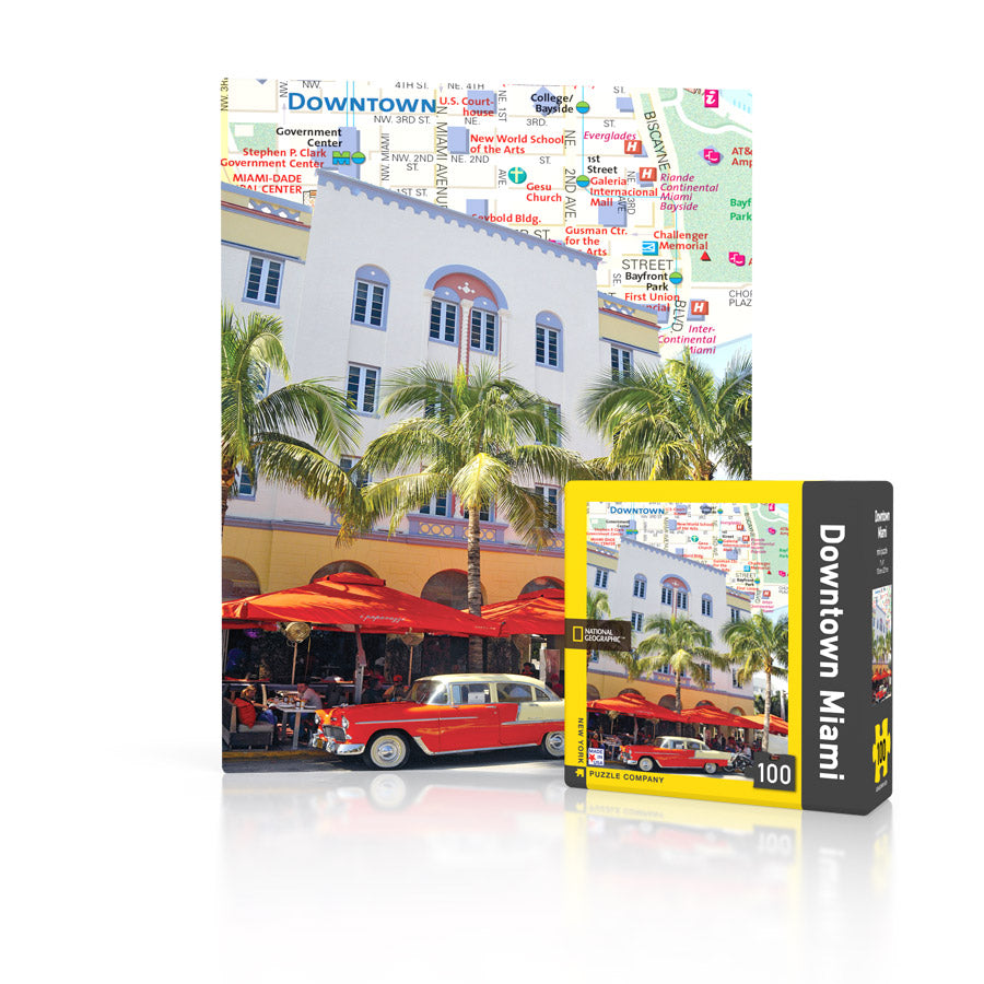 Downtown Miami Jigsaw Puzzle 100 Pieces - New York Puzzle Company