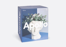 Load image into Gallery viewer, Greek God Apollo Ceramic Vase 20cm Home Decoration
