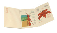 Load image into Gallery viewer, Entomology A Naturalist’s Notebook
