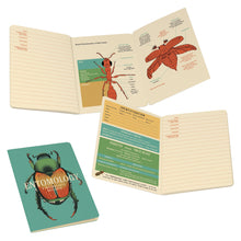 Load image into Gallery viewer, Entomology A Naturalist’s Notebook
