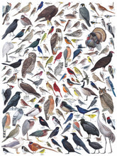 Load image into Gallery viewer, Birds of Eastern / Central North America Jigsaw Puzzle 1000 Pieces - The New York Puzzle Company
