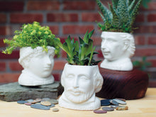 Load image into Gallery viewer, William Shakespeare Planter - The Unemployed Philosophers Guild
