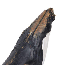 Load image into Gallery viewer, Head Whale ornament Paperweight
