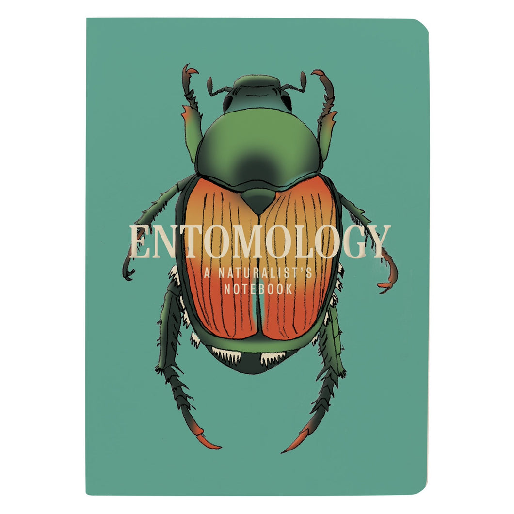Entomology A Naturalist’s Notebook