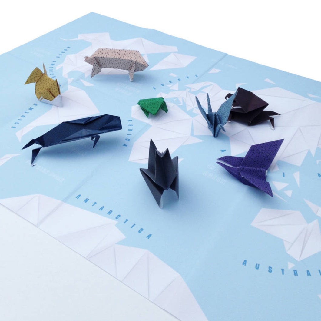 Origami World Map Craft Kit
