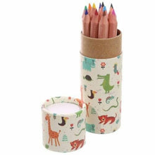 Load image into Gallery viewer, Set Of 3 Africa Animals Pencil Tube with Colouring Pencils
