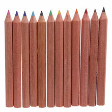 Load image into Gallery viewer, Set Of 3 Africa Animals Pencil Tube with Colouring Pencils
