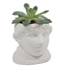 Load image into Gallery viewer, Jane Austen Planter - The Unemployed Philosophers Guild

