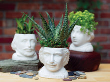 Load image into Gallery viewer, Albert Einstein Head Ceramic Planter Lifestyle Picture
