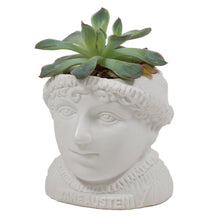 Load image into Gallery viewer, Jane Austen Planter - The Unemployed Philosophers Guild
