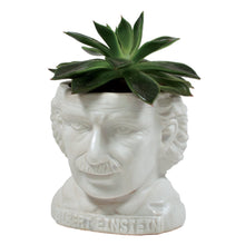 Load image into Gallery viewer, Albert Einstein Head Planter Ceramic
