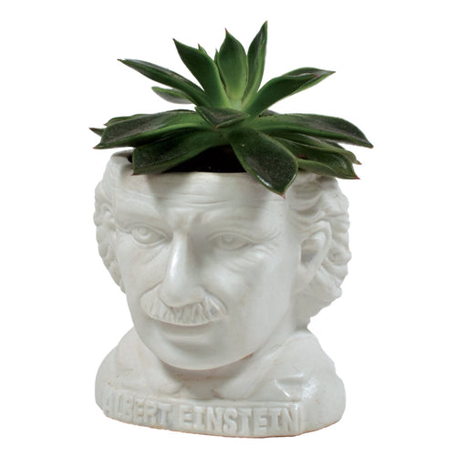 Albert Einstein Head Planter Ceramic