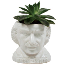 Load image into Gallery viewer, Albert Einstein Head Ceramic Planter Front Picture
