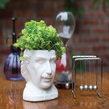 Load image into Gallery viewer, Albert Einstein Head Ceramic Planter Office Decoration
