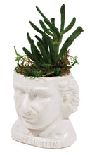 Load image into Gallery viewer, Albert Einstein Head Ceramic Planter Left Side Picture
